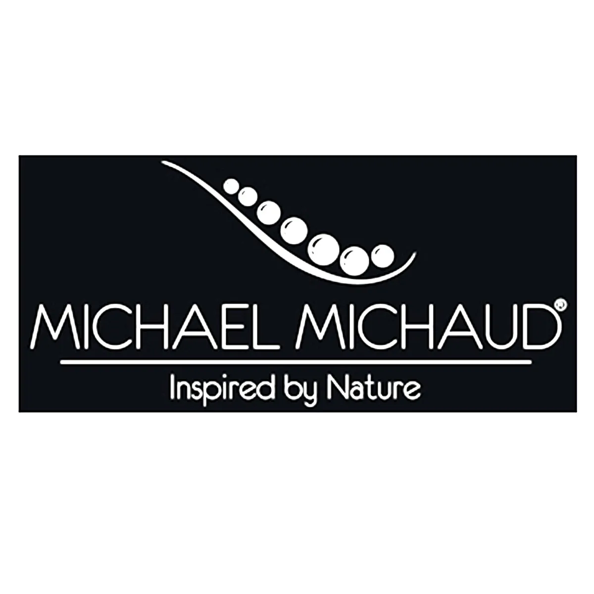 Gone to Seed Triple Seed Brooch Pin by Michael Michaud Nature Silver Seasons 5970
