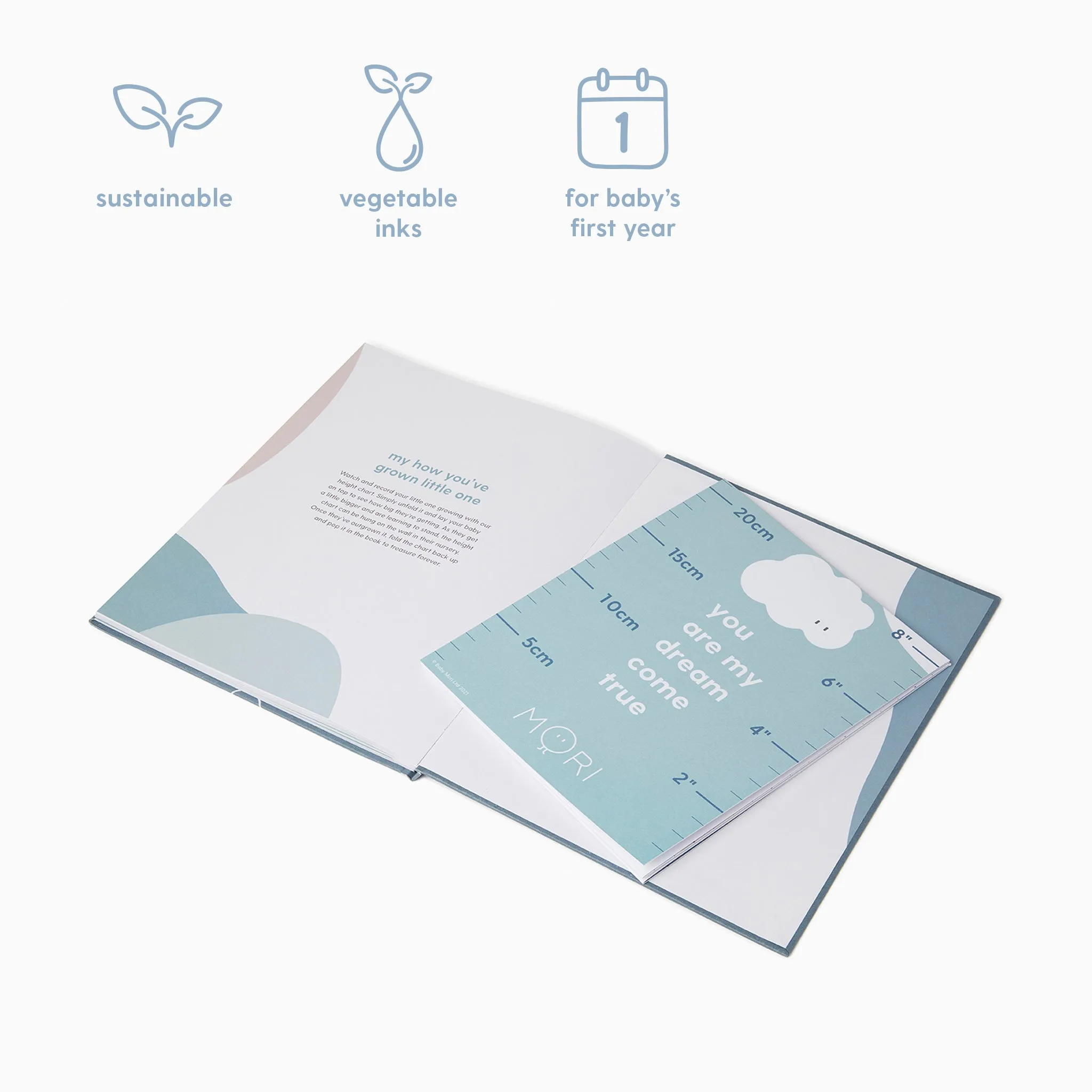 Hello Baby Book