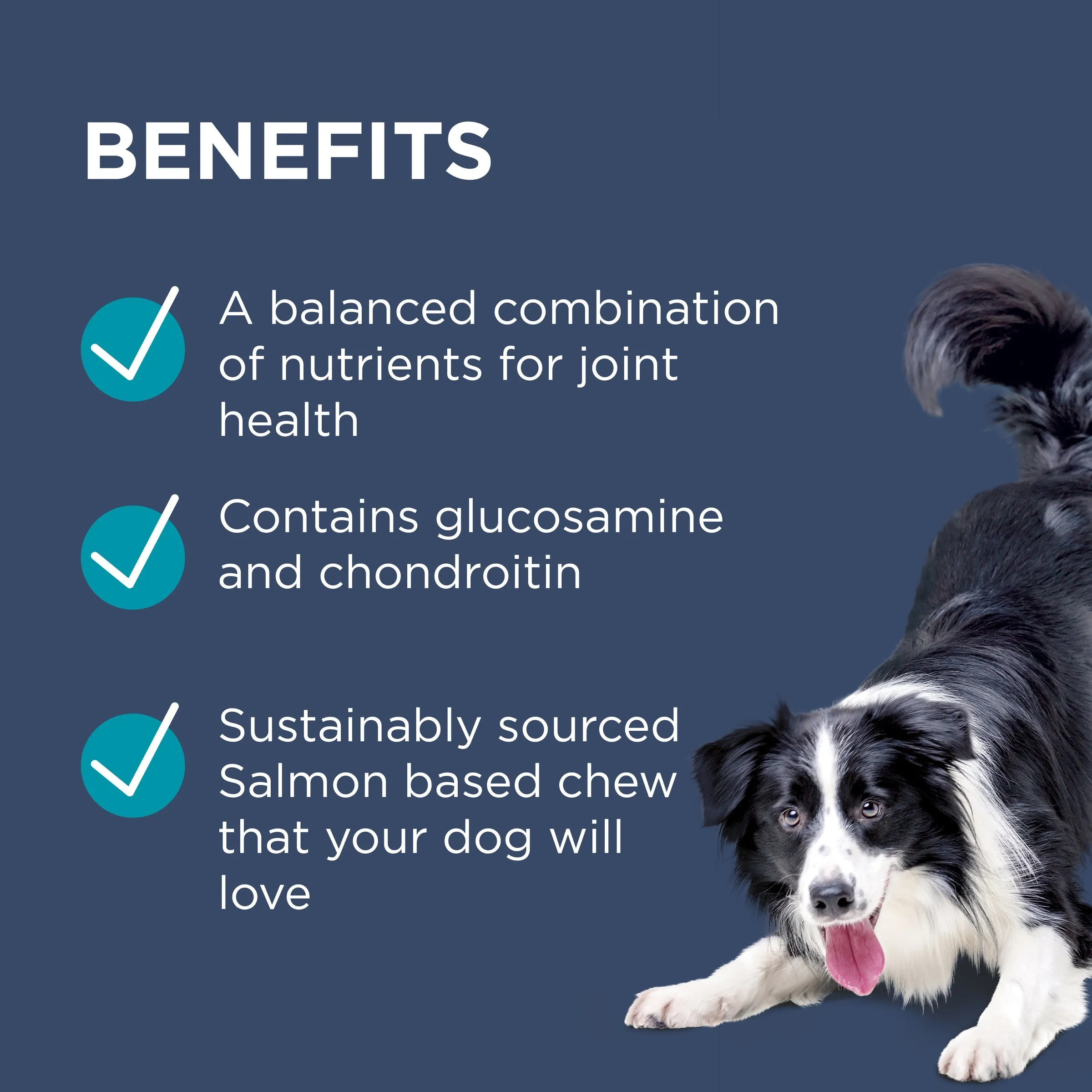 PAW by Blackmores Osteocare Joint Protect Chews for Dogs 500g
