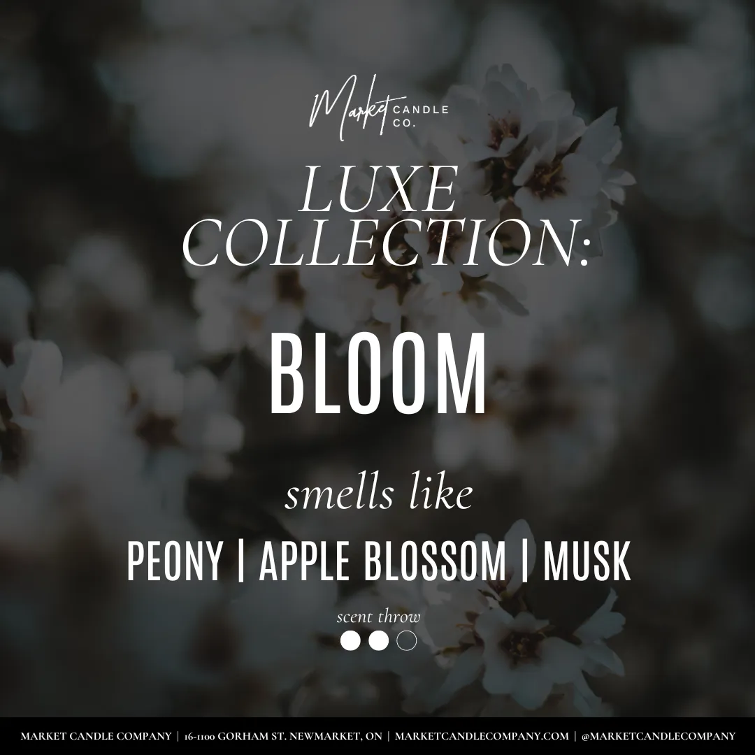 Soy Wax Candle || Bloom